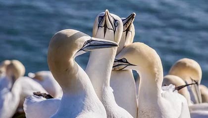 秘语空间合集深度体验报告：最新入口导航与使用体验分享，秘密空间是啥