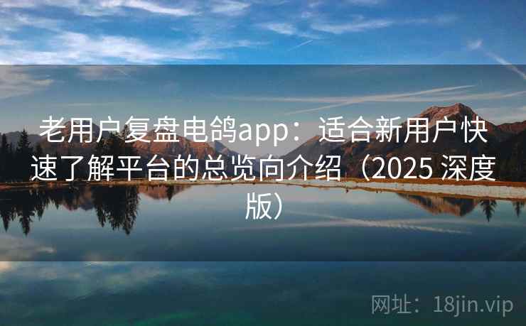 老用户复盘电鸽app：适合新用户快速了解平台的总览向介绍（2025 深度版）