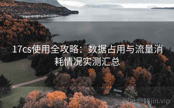 17cs使用全攻略：数据占用与流量消耗情况实测汇总