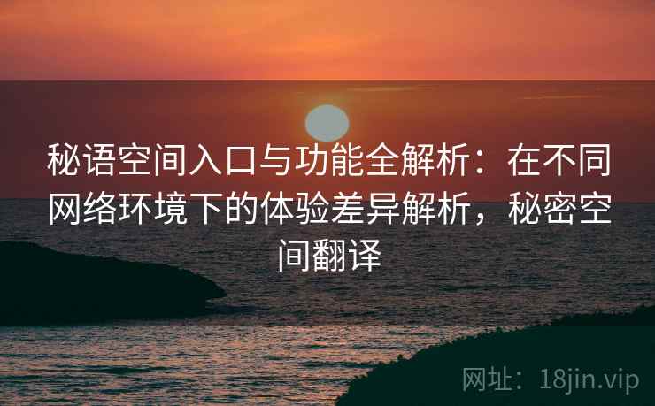 秘语空间入口与功能全解析：在不同网络环境下的体验差异解析，秘密空间翻译