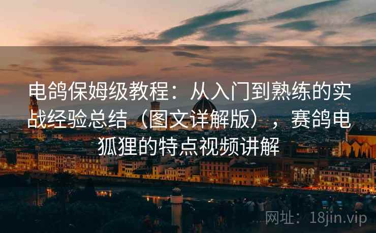 电鸽保姆级教程：从入门到熟练的实战经验总结（图文详解版），赛鸽电狐狸的特点视频讲解