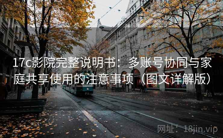 17c影院完整说明书：多账号协同与家庭共享使用的注意事项（图文详解版）