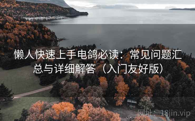 懒人快速上手电鸽必读：常见问题汇总与详细解答（入门友好版）