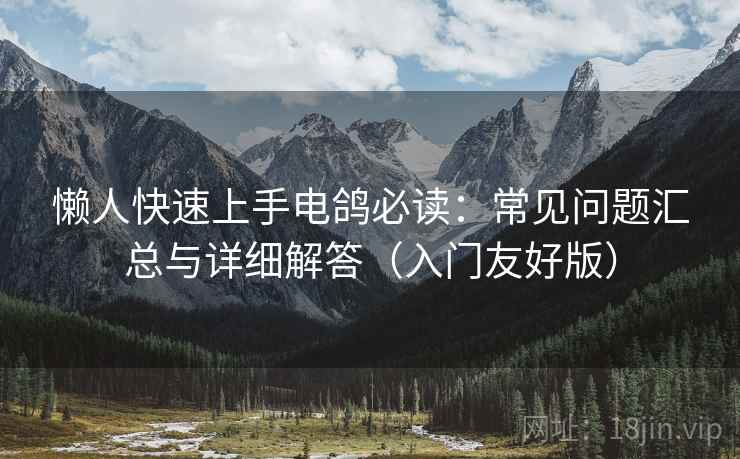 懒人快速上手电鸽必读：常见问题汇总与详细解答（入门友好版）
