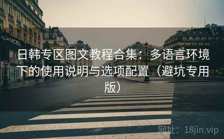日韩专区图文教程合集：多语言环境下的使用说明与选项配置（避坑专用版）