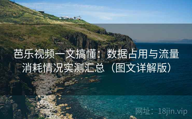 芭乐视频一文搞懂：数据占用与流量消耗情况实测汇总（图文详解版）