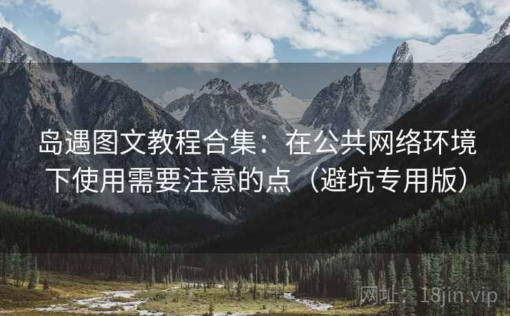 岛遇图文教程合集：在公共网络环境下使用需要注意的点（避坑专用版）