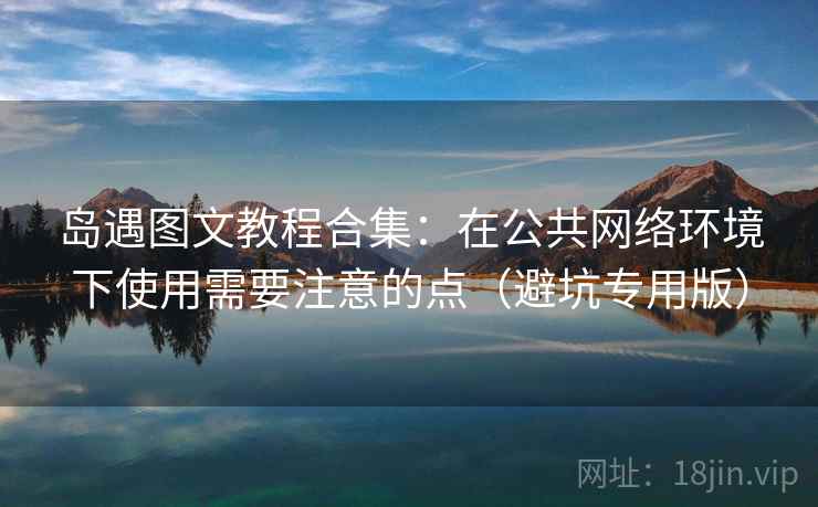 岛遇图文教程合集：在公共网络环境下使用需要注意的点（避坑专用版）