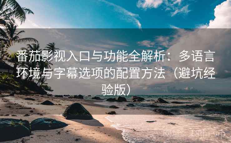 番茄影视入口与功能全解析：多语言环境与字幕选项的配置方法（避坑经验版）
