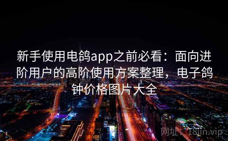 新手使用电鸽app之前必看：面向进阶用户的高阶使用方案整理，电子鸽钟价格图片大全