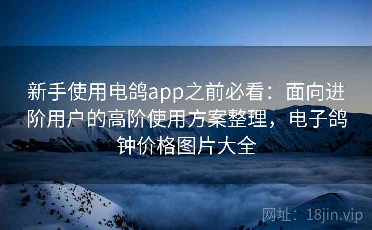 新手使用电鸽app之前必看:面向进阶用户的高阶使用方案整理,电子鸽钟价格图片大全 新手使用电鸽app之前必看:面向进阶用户的高阶使用方案整理,电子鸽钟价格图片大全