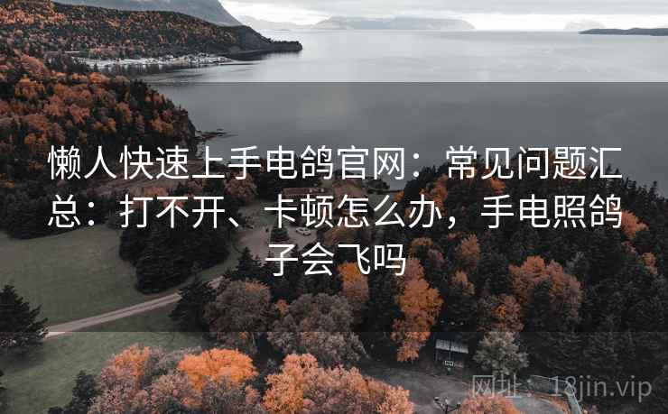 懒人快速上手电鸽官网：常见问题汇总：打不开、卡顿怎么办，手电照鸽子会飞吗