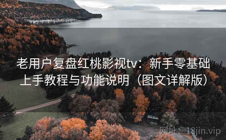 老用户复盘红桃影视tv：新手零基础上手教程与功能说明（图文详解版）