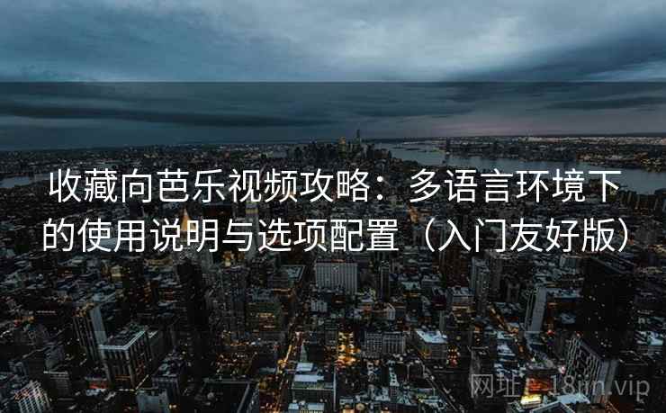 收藏向芭乐视频攻略：多语言环境下的使用说明与选项配置（入门友好版）