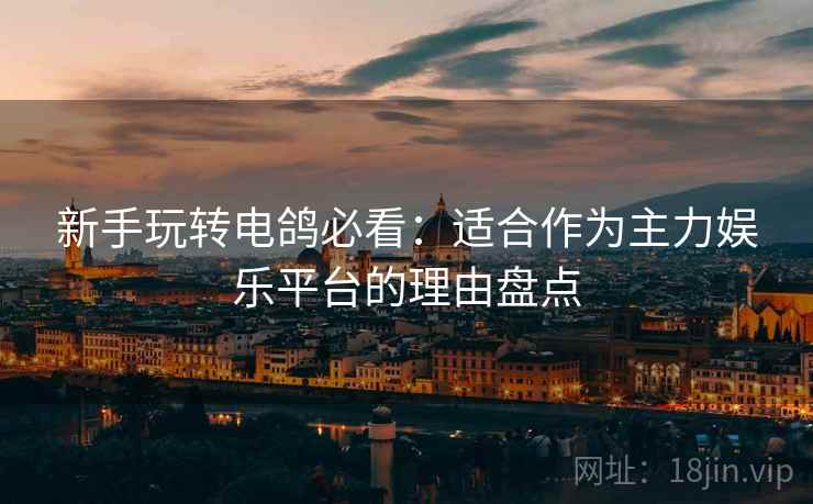 新手玩转电鸽必看：适合作为主力娱乐平台的理由盘点