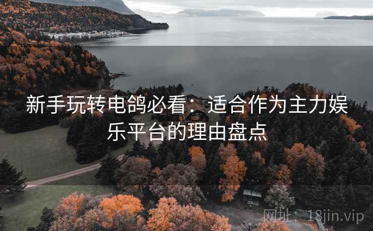 新手玩转电鸽必看:适合作为主力娱乐平台的理由盘点 新手玩转电鸽必看:适合作为主力娱乐平台的理由盘点