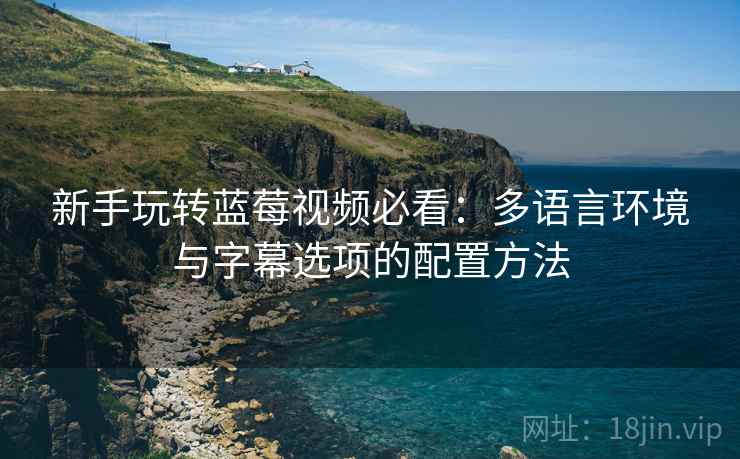新手玩转蓝莓视频必看:多语言环境与字幕选项的配置方法