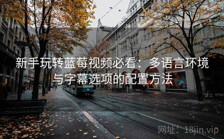 新手玩转蓝莓视频必看:多语言环境与字幕选项的配置方法 新手玩转蓝莓视频必看:多语言环境与字幕选项的配置方法
