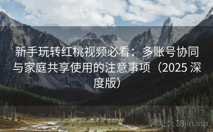 新手玩转红桃视频必看:多账号协同与家庭共享使用的注意事项(2025 深度版)