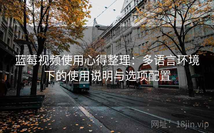 蓝莓视频使用心得整理:多语言环境下的使用说明与选项配置 蓝莓视频使用心得整理:多语言环境下的使用说明与选项配置