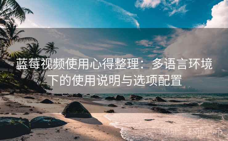 蓝莓视频使用心得整理：多语言环境下的使用说明与选项配置