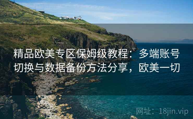 精品欧美专区保姆级教程：多端账号切换与数据备份方法分享，欧美一切