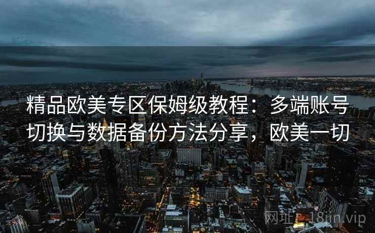 精品欧美专区保姆级教程：多端账号切换与数据备份方法分享，欧美一切