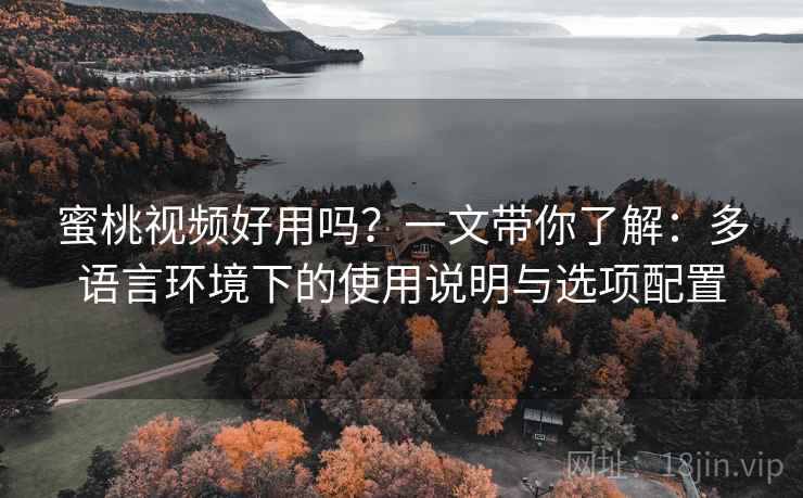 蜜桃视频好用吗？一文带你了解：多语言环境下的使用说明与选项配置